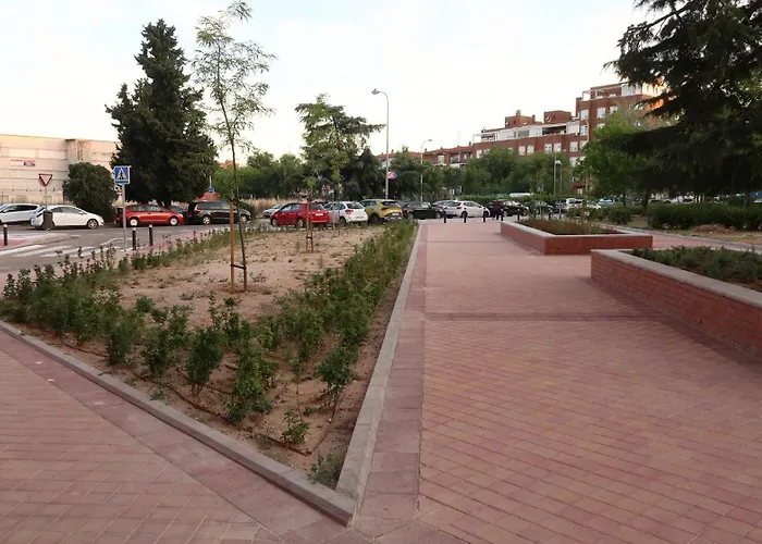Ama Madrid Metropolitano 11